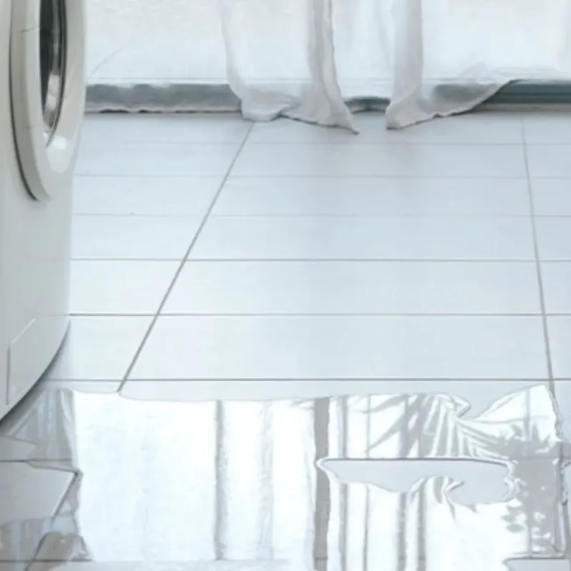Appliance Leak Cleanup in Enon, VA