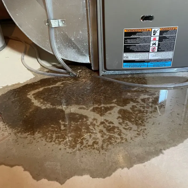Pipe Burst and Leak Restoration in Enon, VA