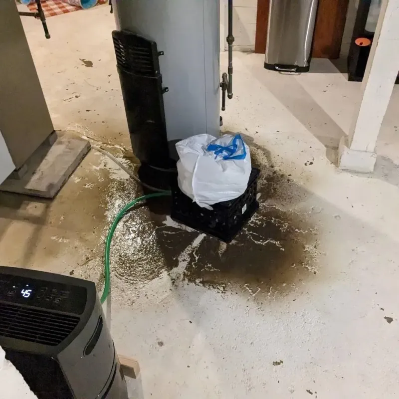 Sewage Backup Cleanup Service in Enon, VA